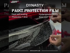 Dynasty Clear Car Paint Protection Film