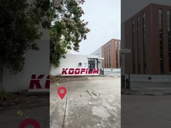 Factory Automotive Paint Protection Film