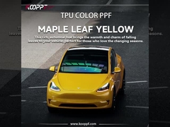 K117 Maple Leaf Yellow Color Paint Protection Film Car Film Sticker