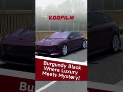 Burgundy Black Where Luxury Meets Mystery!